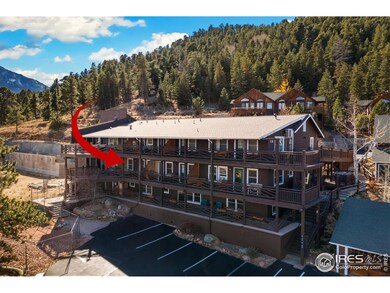 2625 Marys Lake Rd unit 101, Estes Park, CO 80517 - photo 3