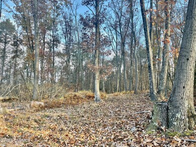 0 Shingle Run Rd, Pine Township, PA 17846 - photo 4