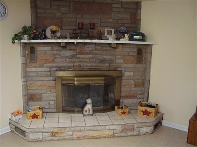 13463 Schneider St, Cedar Lake, IN 46303 - photo 7