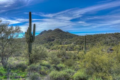 Views & Lush Vegetation