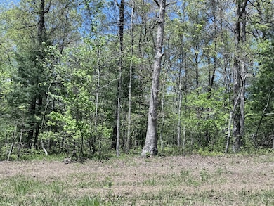 1027 Natchez Trace, Crossville, TN 38572 - photo 2