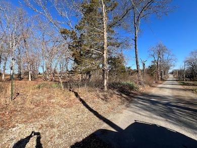 21 Cedar Ln, Willow Springs, MO 65793 - photo 7