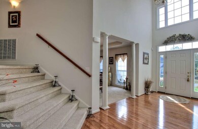 6601 Broad Creek Overlook, Fredericksburg, VA 22407 - photo 4