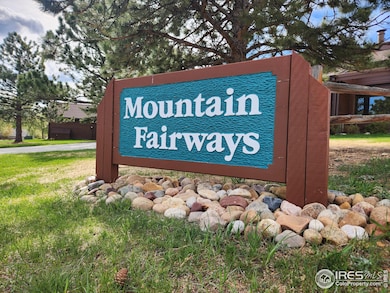 1443 Matthew Cir unit L3, Estes Park, CO 80517 - photo 6