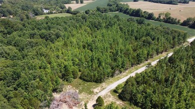 0 Highway 158, Harviell, MO 63945 - photo 6