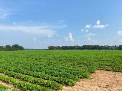 04 Alabama 21, Atmore, AL 36502 - photo 4