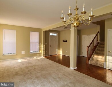 1010 Austin Dr, Fredericksburg, VA 22401 - photo 6