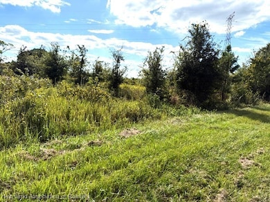 3313 W Jurgenson Rd, Avon Park, FL 33825 - photo 2