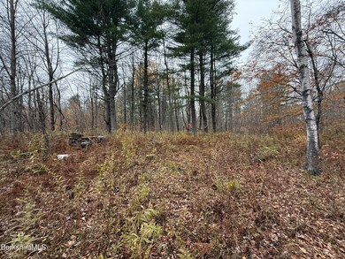 LOT9 Benton Hill Rd, Becket, MA 01223 - photo 7