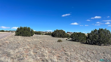 TBD Deer Cir, Quemado, NM 87829 - photo 5