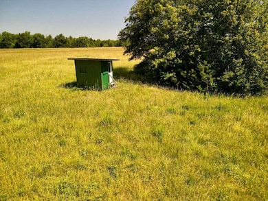 Tract 1 D Audrain Rd 935, Mexico, MO 65265 - photo 6