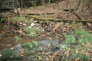 0 Wolf Springs Rd N, Harrison, AR 72601 - photo 4