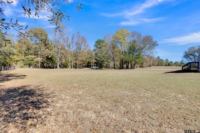 10342 County Road 3111, Kilgore, TX 75662 - photo 6