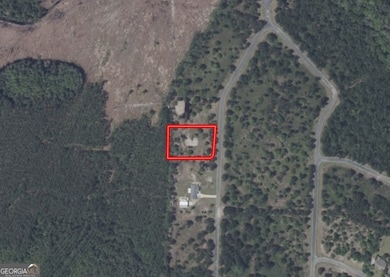 0 Big Horse Dr unit 84, Waynesville, GA 31566 - photo 5