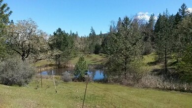 0 Tl 1800 Butte Falls Hwy unit 102976370, Butte Falls, OR 97524 - photo 4