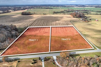 two 5 acre Lots, Looking west above Hwy 431.