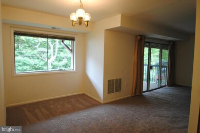 202 Park Terrace Ct SE unit 20, Vienna, VA 22180 - photo 5