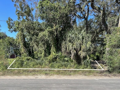 0 Lewis Street Lot 9 unit 114316, Fernandina Beach, FL 32034 - photo 7