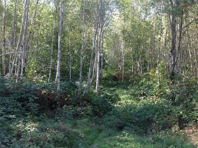 0 Logan Hill Rd unit 851426, Chehalis, WA 98532 - photo 6