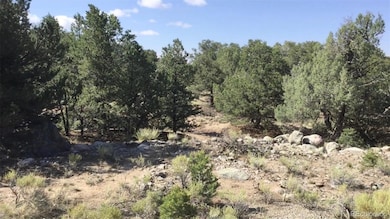 3514 Forest Trail Overlook, Crestone, CO 81143 - photo 5