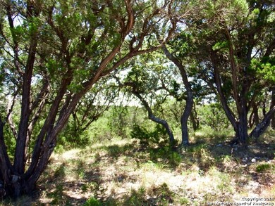 3.28 ACRES E Range, Cross Mountain, TX 78255 - photo 7