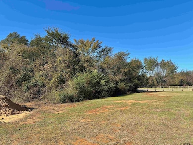 Lot 166 Kitty Hawk Dr, Berryville, TX 75763 - photo 4