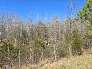 Tbd Carr Store Rd, Cedar Grove, NC 27231 - photo 5