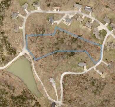 000 Irish Hills Blvd, Kimberling City, MO 65686 - photo 3