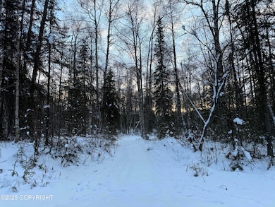 16486 E Barge Dr, Talkeetna, AK 99676 - photo 4