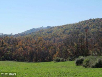 0 Grimsley Rd unit 1004220206, Flint Hill, VA 22627 - photo 3