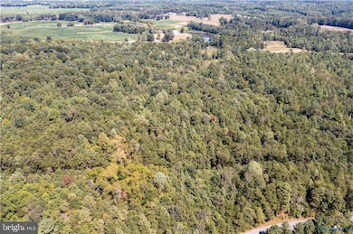 0 File Rd unit VACV2008830, Milford, VA 22514 - photo 3