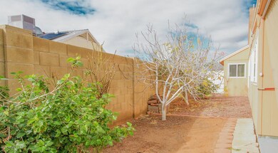 Back yard 3