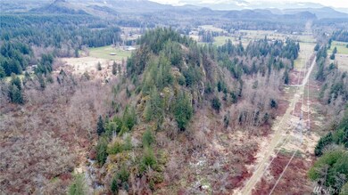 39950 295th Place SE, Enumclaw, WA 98022 - photo 4