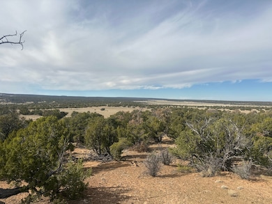 0 Nsn Highway 36 unit 25747166, Fence Lake, NM 87513 - photo 7