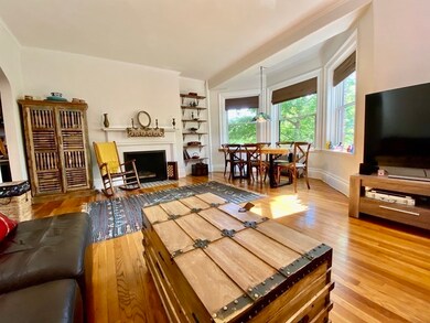 340 Tappan St unit 2, Brookline, MA 02445 - photo 7