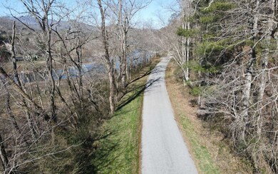 Additional View