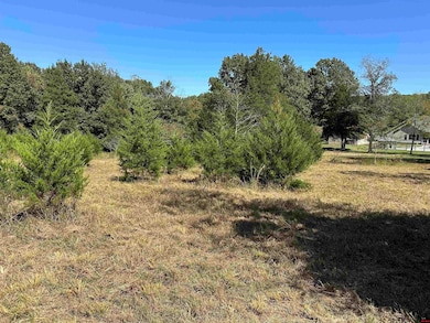 Lot 38 Bluffview Place, Flippin, AR 72634 - photo 7