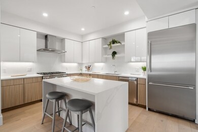 12 Shailer St unit 1, Brookline, MA 02446 - photo 5