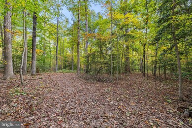 0 Dreamland Rd unit B VACU2006336, Jeffersonton, VA 22724 - photo 2