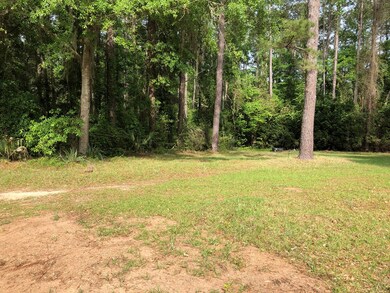 0 Cork Ferry Rd, Cordele, GA 31015 - photo 4