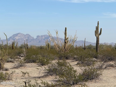 1275 557th Ave unit 128, Tonopah, AZ 85354 - photo 4