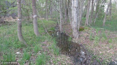 20 Oden Ln, Washington, VA 22747 - photo 4