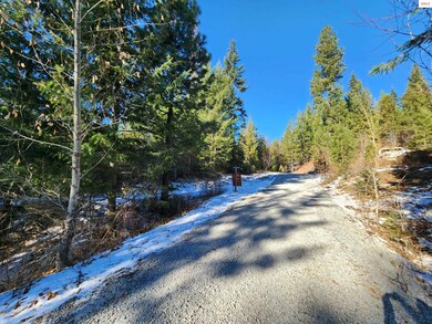 NNA S View Ln, Sandpoint, ID 83864 - photo 2