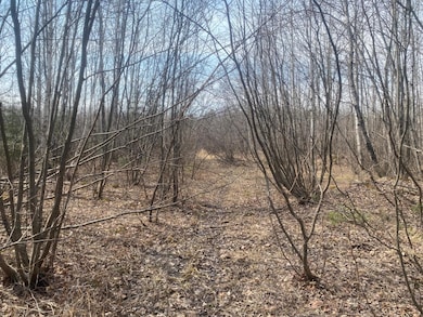 ON Skinner Creek Ln, Kennan, WI 54537 - photo 3