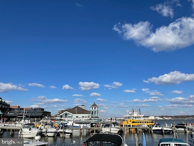 28 Wolfe St unit 34, Alexandria, VA 22314 - photo 5