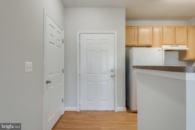 22607 Blue Elder Terrace unit 304, Ashburn, VA 20148 - photo 3