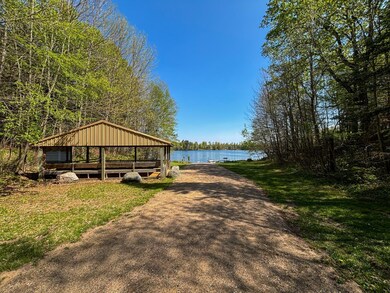 Lot 60 Chip n Dale Dr, Pickerel, WI 54465 - photo 5