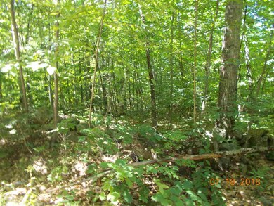 000 Langley Rd, Newport, NH 03773 - photo 2