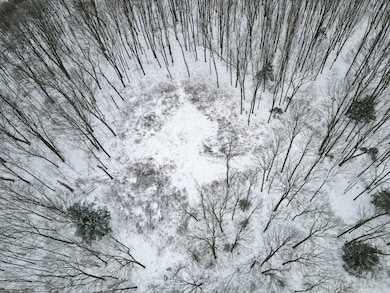 Vacant Land, Merrill, WI 54452 - photo 6