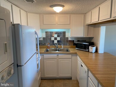 30148 Cedar Shores Rd unit 351F, Ocean View, DE 19970 - photo 4